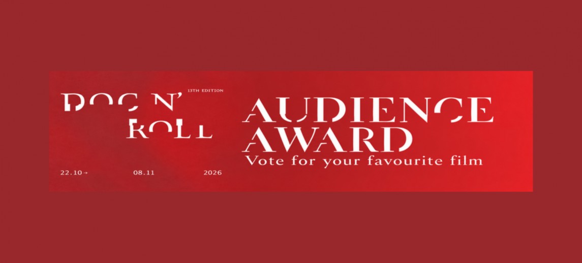 DNR 13 audience award2